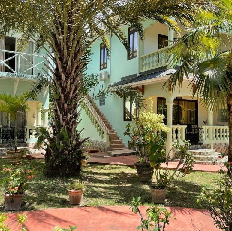 Green Palm Self Catering Anse aux Pins Bagian luar foto